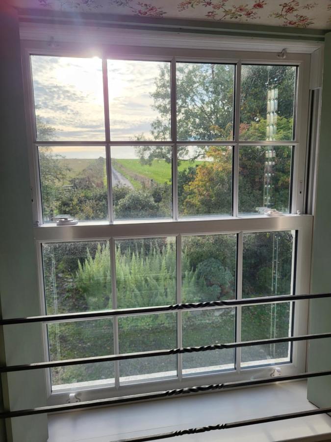 The Green Door Vegan B&B Llanon Exterior foto