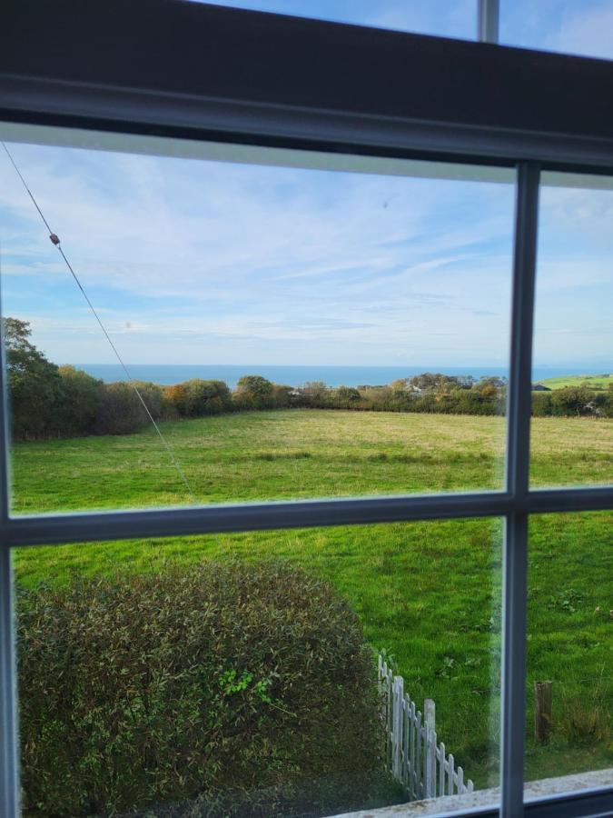 The Green Door Vegan B&B Llanon Exterior foto